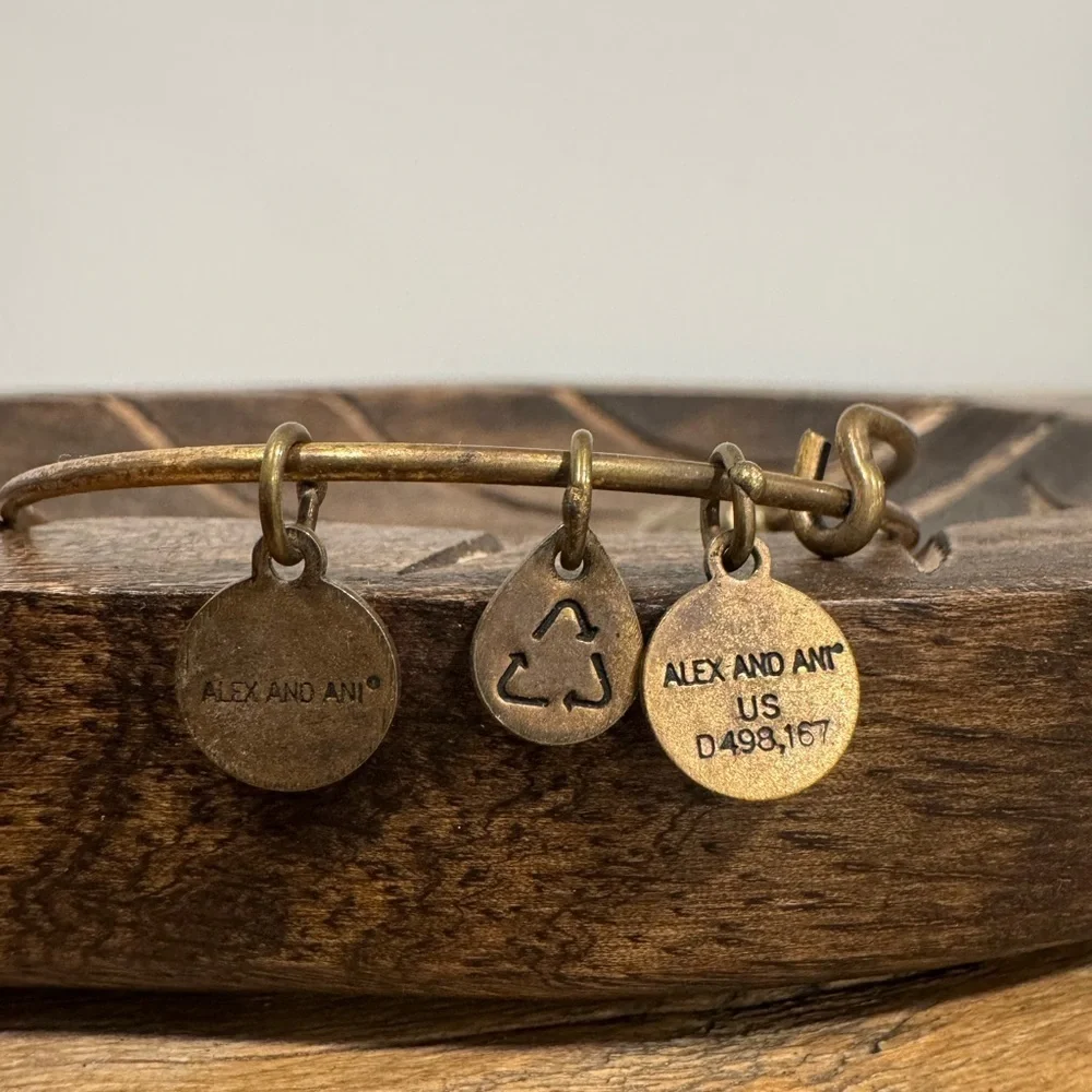Alex and Ani Pineapple Charm Bangle – Rafaelian Gold Finish